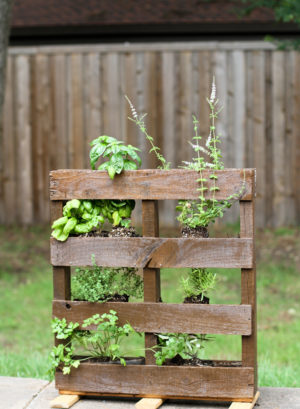 DIY Pallet Herb Garden - joyfully so